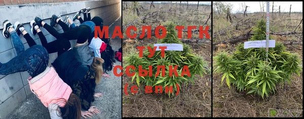 мдпв Бронницы