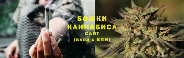 мдпв Бронницы