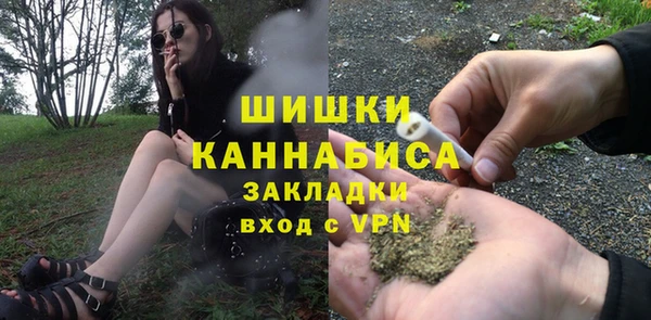 твердый Бородино