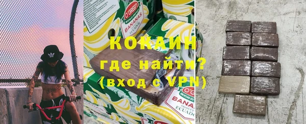 твердый Бородино