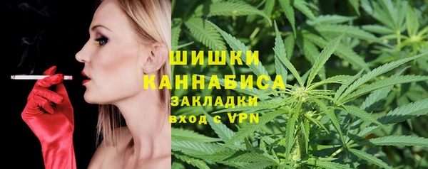 гидра Строитель