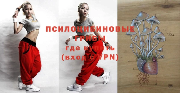 мдпв Бронницы