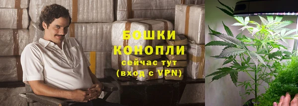 мдпв Бронницы