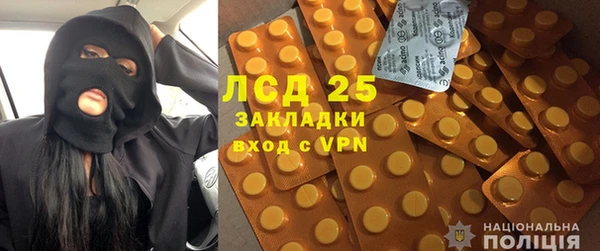PSILOCYBIN Струнино