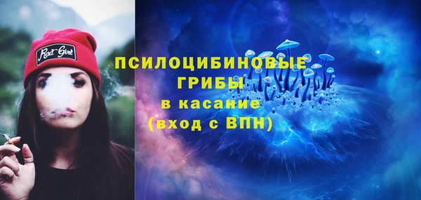 твердый Бородино